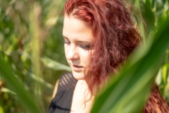 DSC07604